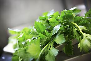 Brit Hotel Rennes - Le Castel