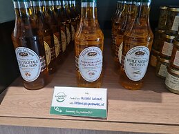 Brit Hotel Orléans St Jean de Braye - L'Antarès