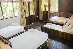 Socia/tel Amazon Tena