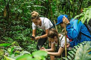 Socia/tel Amazon Tena