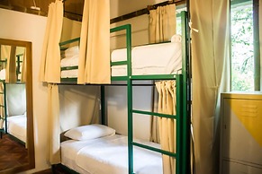 Socia/tel Amazon Tena