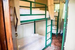 Socia/tel Amazon Tena