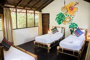 Socia/tel Amazon Tena