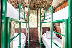 Socia/tel Amazon Tena