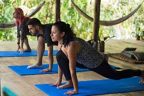 Socia/tel Amazon Tena