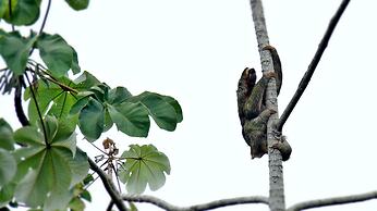 Cristal Ballena Boutique Hotel & Spa