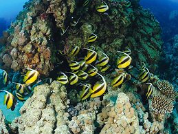 Mövenpick Resort Taba