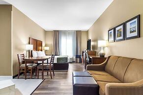 Comfort Suites Mount Vernon