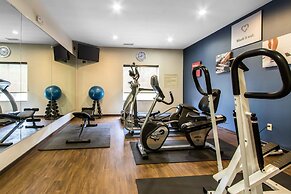 Comfort Suites Mount Vernon