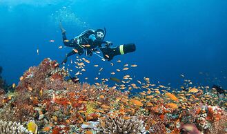 Four Seasons Maldives at Landaa Giraavaru