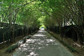 Twin Lotus Resort and Spa - ADULT ONLY