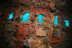 Mirihi Island Resort