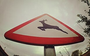 Gran Hotel Pandorado