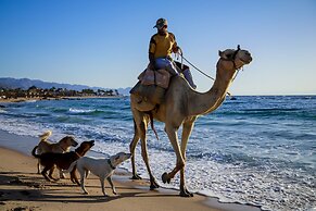 Habiba Beach Lodge