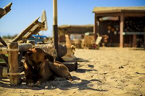 Habiba Beach Lodge