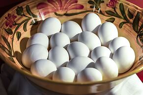 Monte Carlo Inn Vaughan Suites