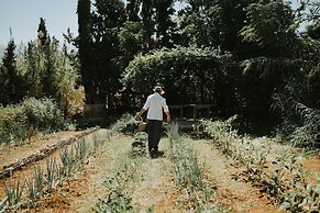 Phāea Cretan Malia, a Member of Design Hotels