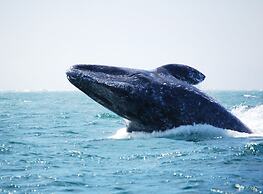 Loreto Bay Golf Resort & Spa at Baja