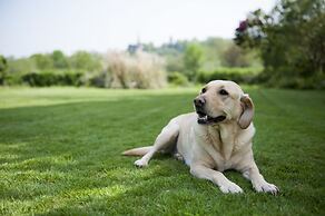 The Bridge House Boutique B&B