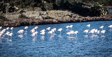 Gabbiano Azzurro Hotel & Suites