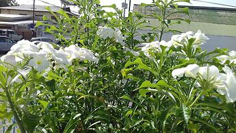 Melbourne Inn Trinidad