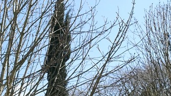 Residence Michelangiolo