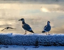 Braeside Country Inn