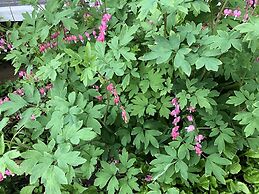 Braeside Country Inn