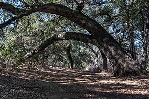 San Vicente Golf Resort