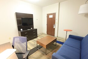 Holiday Inn Express Hotel & Suites Chattanooga-Hixson by IHG