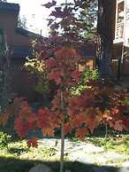 Mountainback at Mammoth