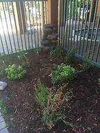 Mountainback at Mammoth