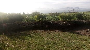 Pezula Nature Retreat