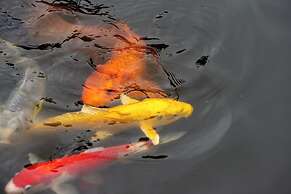 Pezula Nature Retreat