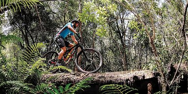 Pezula Nature Retreat