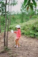 Hidden Valley Wilderness Lodge