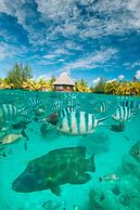 The St. Regis Bora Bora Resort