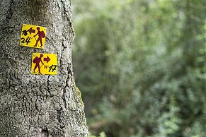 Kassandra Bay Resort, Suites & Spa