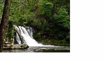 Luxbury Inn & Suites