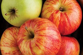 La Quinta Inn & Suites by Wyndham Cincinnati Airpt Florence