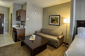 Holiday Inn Express Hotel & Suites Pell City by IHG
