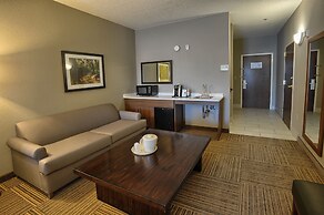 Holiday Inn Express Hotel & Suites Pell City by IHG