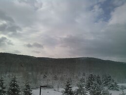 Hampton Inn Pine Grove