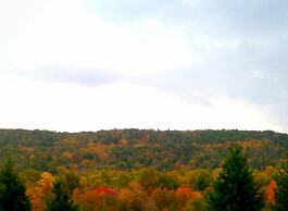 Hampton Inn Pine Grove