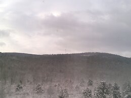 Hampton Inn Pine Grove