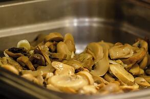 TURIM Estrela do Vau Hotel