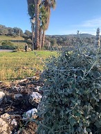 Hospedium Hotel Doña Mafalda de Castilla