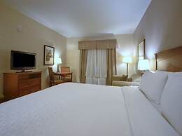 Holiday Inn Express Hotel & Suites Edmonton North by IHG