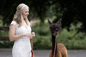 Hyatt Regency Lost Pines Resort and Spa