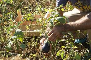 Masseria Chiancone Torricella